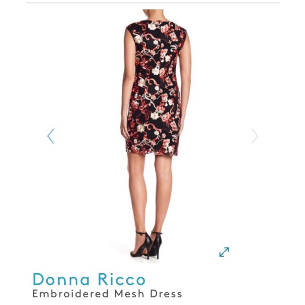 Donna Ricco
Embroidered Mesh Dress - Picture 5 of 5